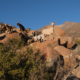 a hill with a group of goats over, looking defiant